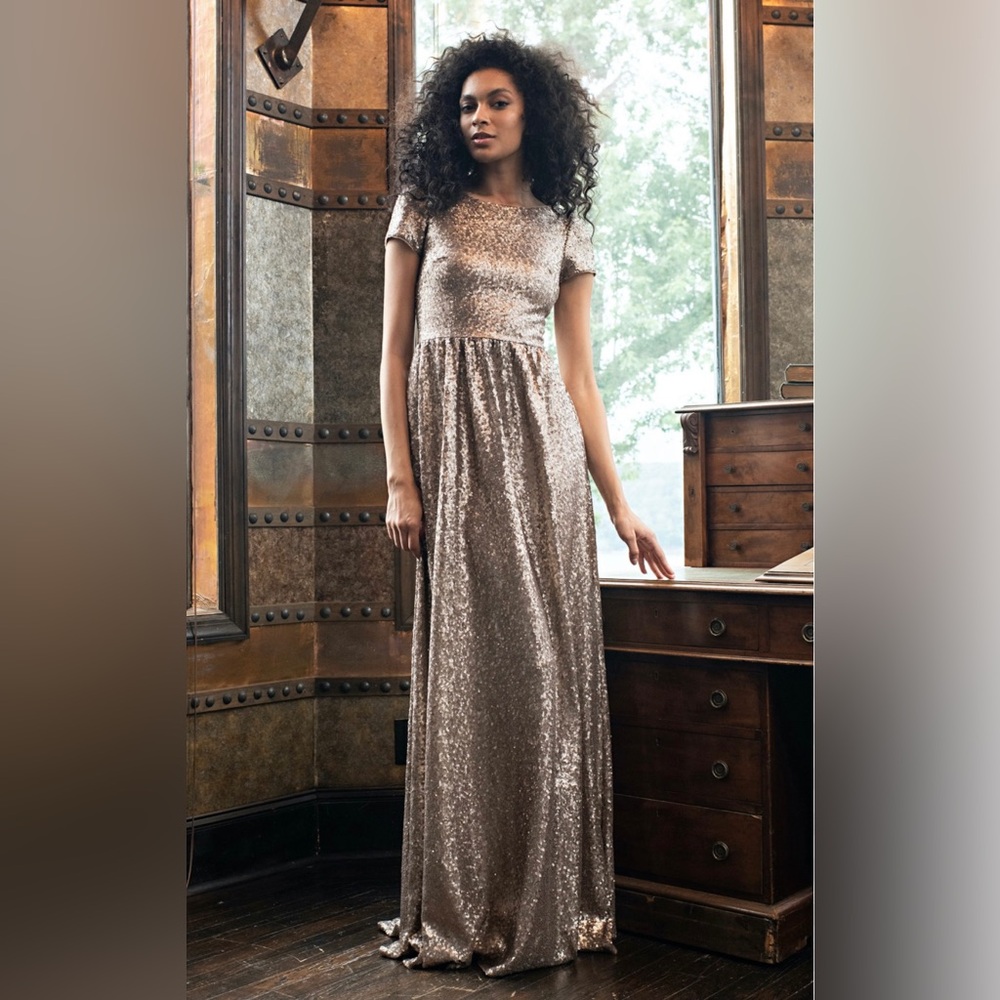 Theia Simone Sequin Dress size 24